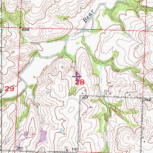 Topographic Map of Cott Lake, MO