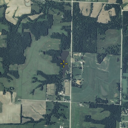 Aerial/Satellite Image of Johnson Lake, MO
