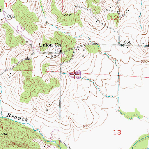 Topographic Map of Fortunes Lake, MO