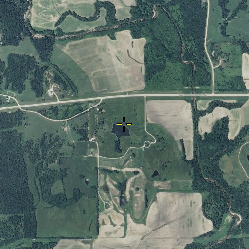 Aerial/Satellite Image of Pickering Lake Dam, MO