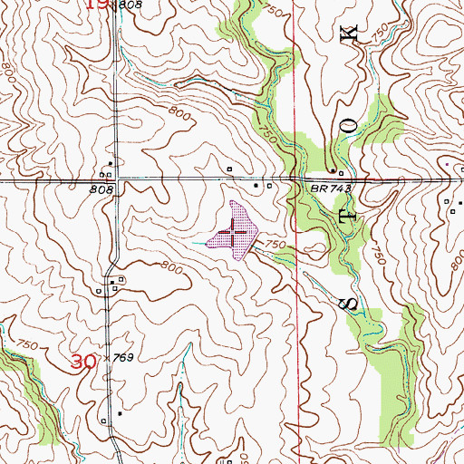 Topographic Map of Waitman Lake Section 30, MO
