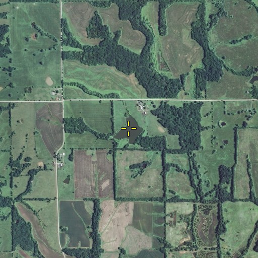 Aerial/Satellite Image of Waitman Lake Section 30, MO