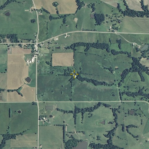 Aerial/Satellite Image of Hamilton Lake Section 35, MO