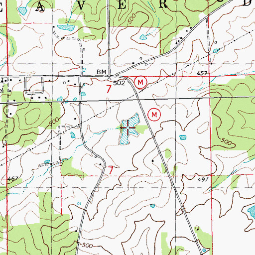 Topographic Map of Resnick Lake, MO