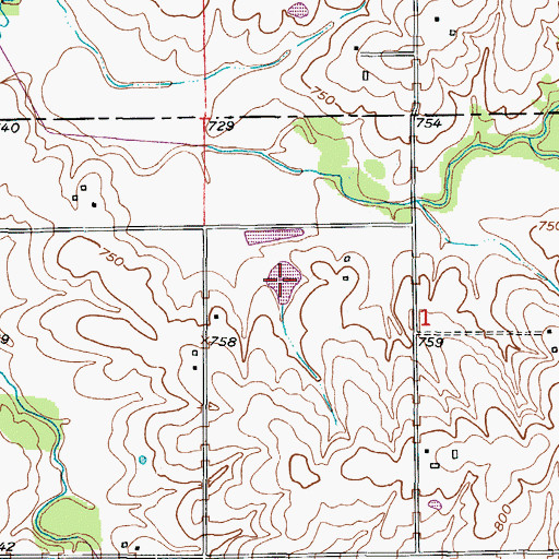 Topographic Map of Davies Lake, MO