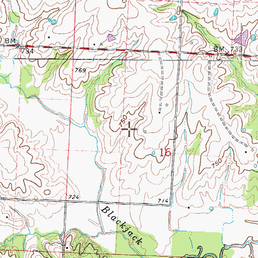 Topographic Map of Reynolds Lake, MO