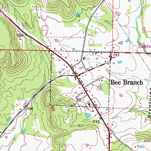 Topographic Map of Bee Branch, AR