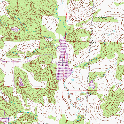 Topographic Map of Echo Lake, MO