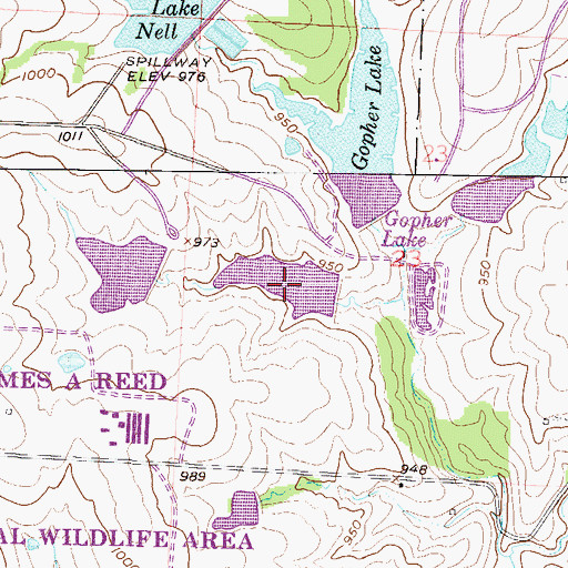 Topographic Map of Reed Area Number 9 Lake, MO