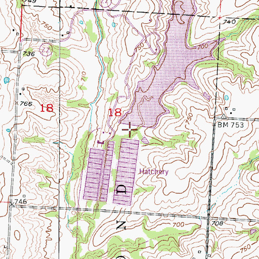 Topographic Map of Blind Pony Lake Dam, MO