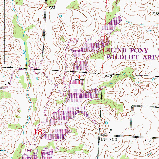 Topographic Map of Blind Pony Lake, MO