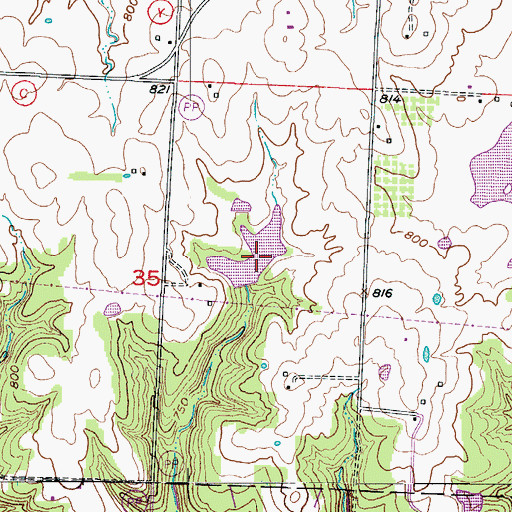 Topographic Map of Williams Lake, MO