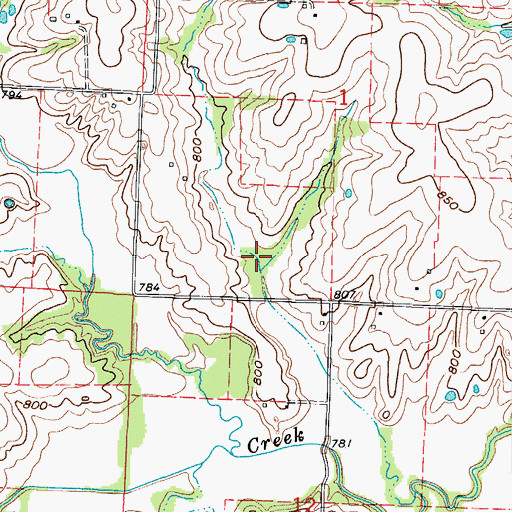 Topographic Map of William Riech Lake, MO