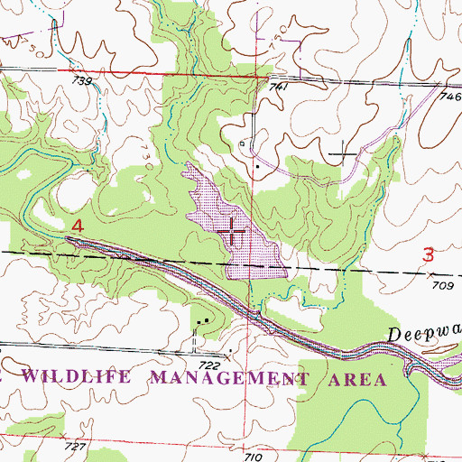 Topographic Map of Whitaker Lake, MO
