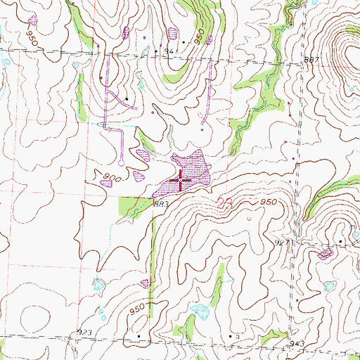 Topographic Map of Carey Mims Dam, MO