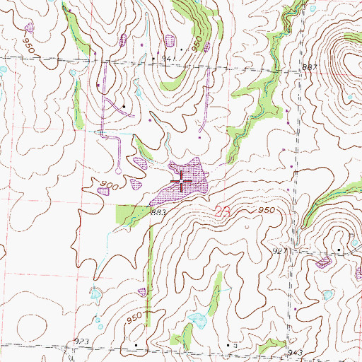 Topographic Map of Carey Mims Lake, MO