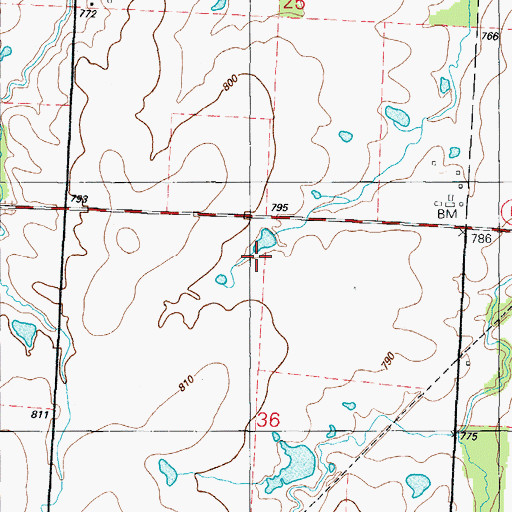 Topographic Map of Fred Wilmot Dam, MO