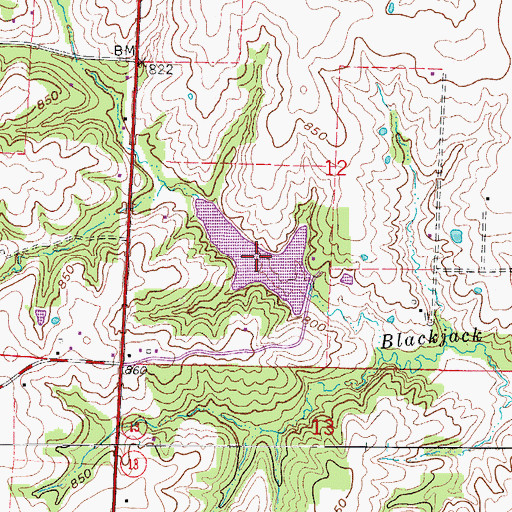 Topographic Map of Lake Pajastka, MO