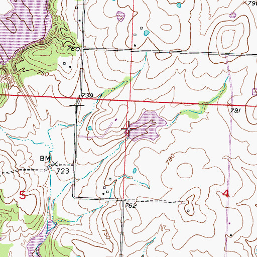 Topographic Map of White Lake Dam, MO