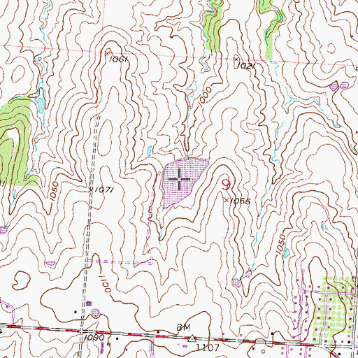 Topographic Map of Johnson Lake, MO