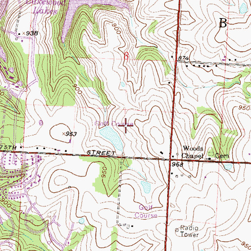 Topographic Map of Chapel Woods Golf Course Lake Dam, MO