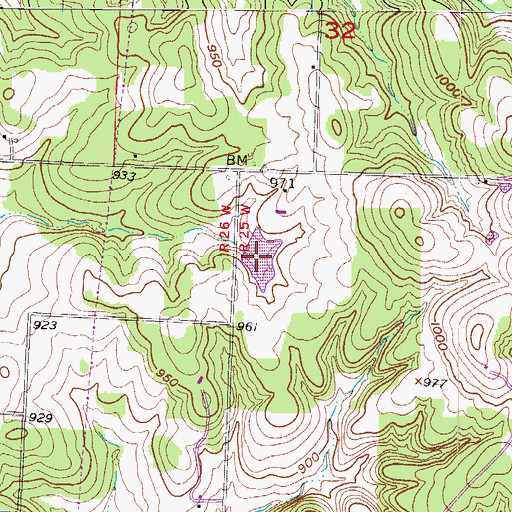 Topographic Map of Truitt Lake, MO
