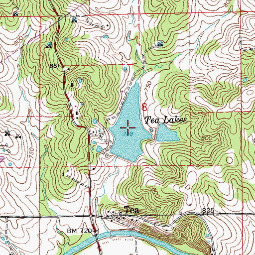 Topographic Map of Tea Lake, MO