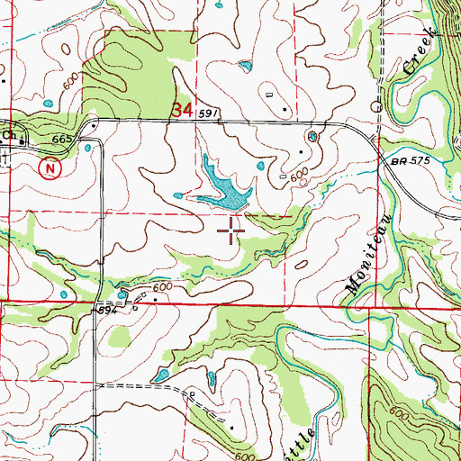 Topographic Map of Richward W Cook Junior Dam, MO