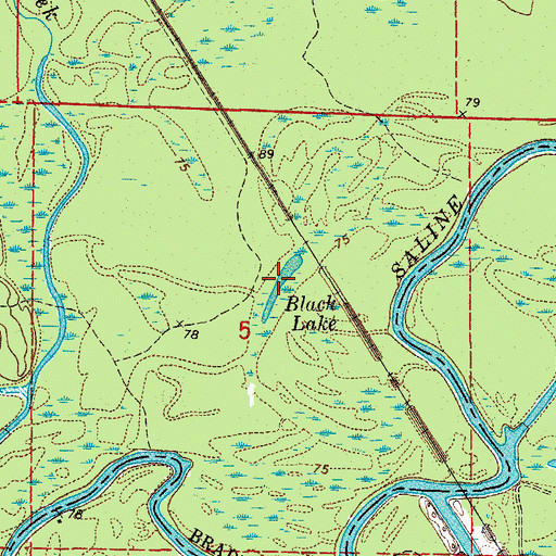 Topographic Map of Black Lake, AR