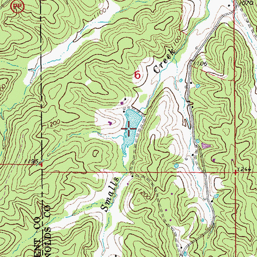 Topographic Map of Roy Davis Lake, MO