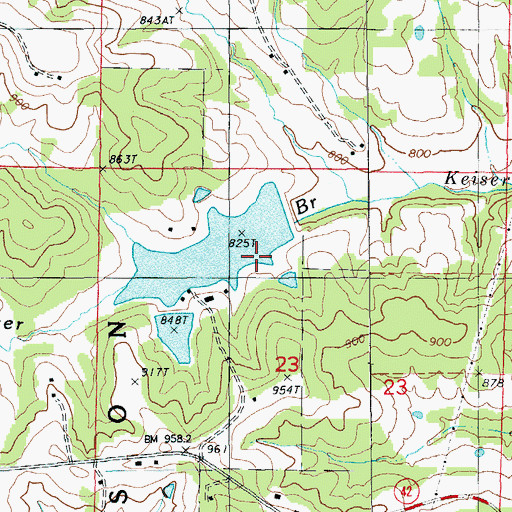 Topographic Map of Danube Corporation Lower Dam, MO