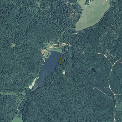 Aerial/Satellite Image of Masters Dam, MO