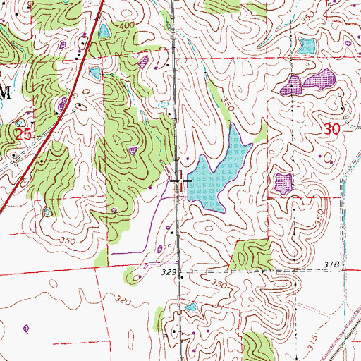 Topographic Map of Resniks Lake Dam, MO