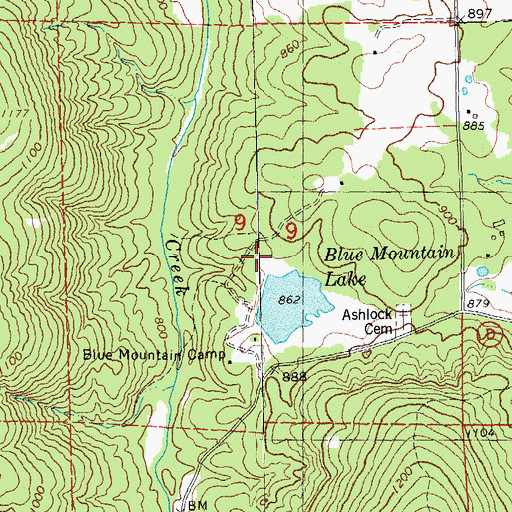 Topographic Map of Blue Mountain Methodist Camp Lake Dam, MO