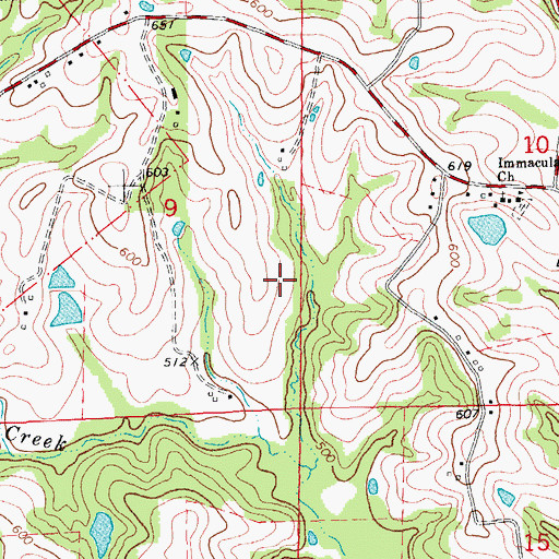 Topographic Map of Struckhoffs Lake, MO