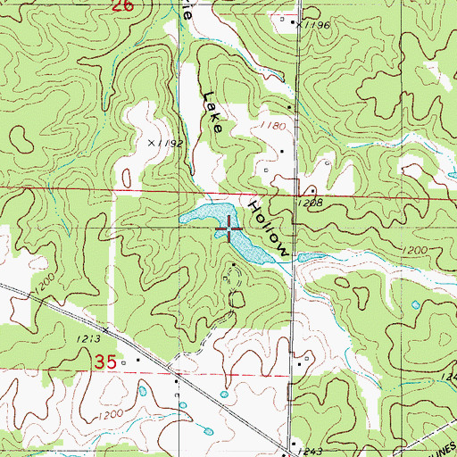 Topographic Map of William Elam Lake, MO