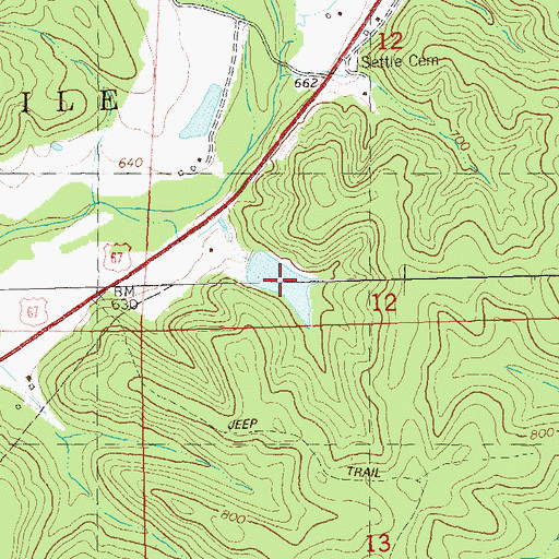Topographic Map of Whitehurst Lake, MO