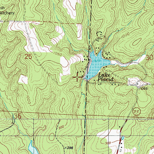 Topographic Map of Lake Placid Dam, MO