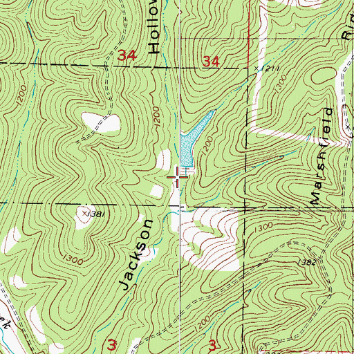 Topographic Map of Roller Lake Dam, MO