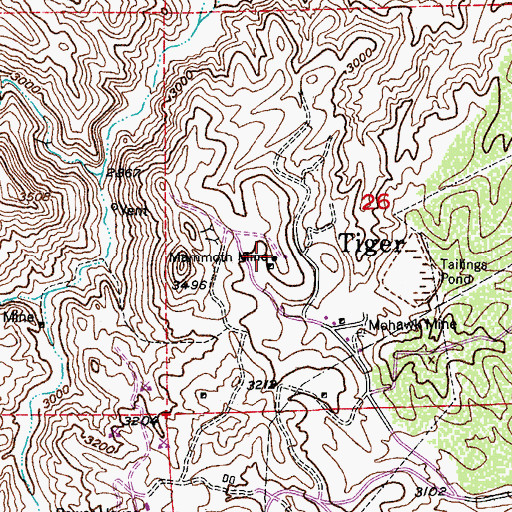 Topographic Map of Mammoth Mine, AZ