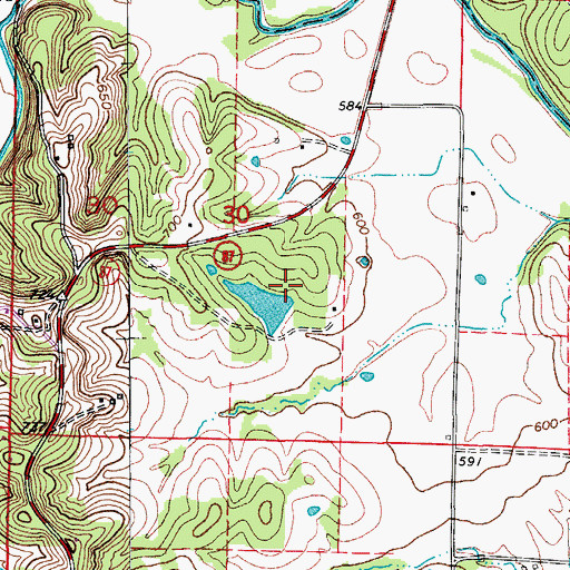 Topographic Map of Longan Lake Dam, MO