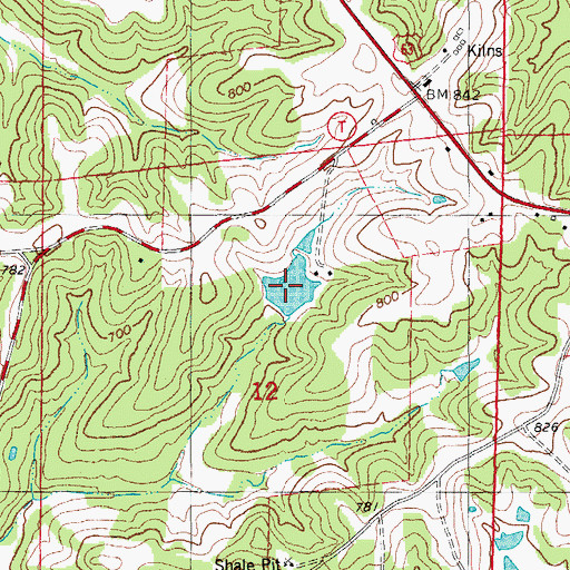 Topographic Map of Luecke Lake, MO