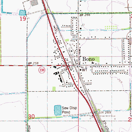 Topographic Map of Bono, AR