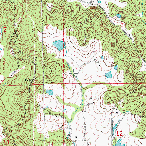 Topographic Map of Inman Lake, MO