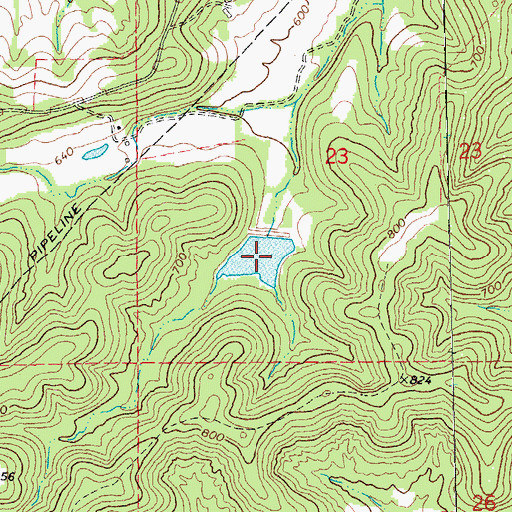 Topographic Map of Cady Lake, MO