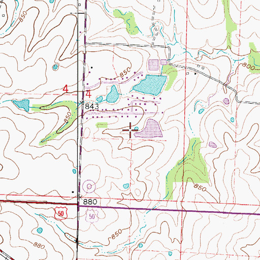 Topographic Map of Dick Monsees Dam, MO