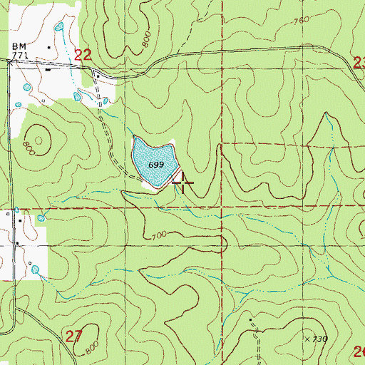 Topographic Map of Lakeview Tree Farm Dam, MO