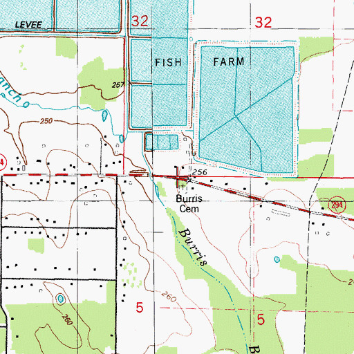 Topographic Map of Burris Cemetery, AR