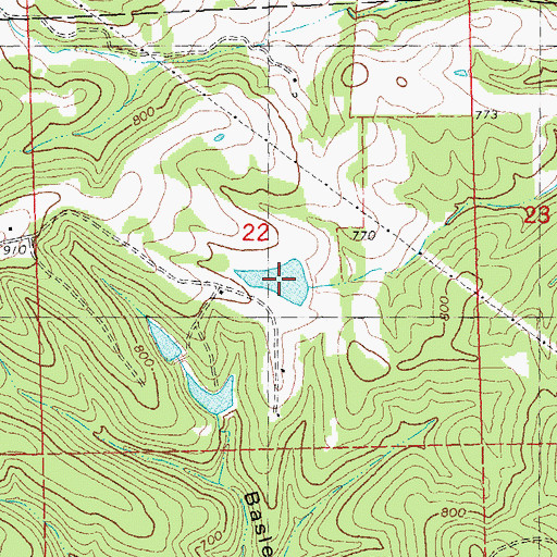 Topographic Map of Brands Lake, MO