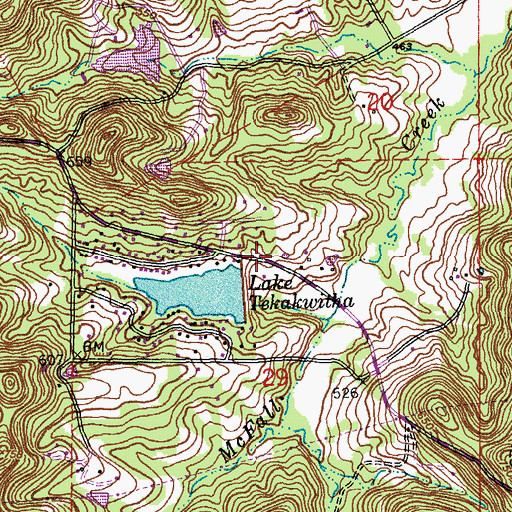 Topographic Map of Lake Tekawitha Dam, MO